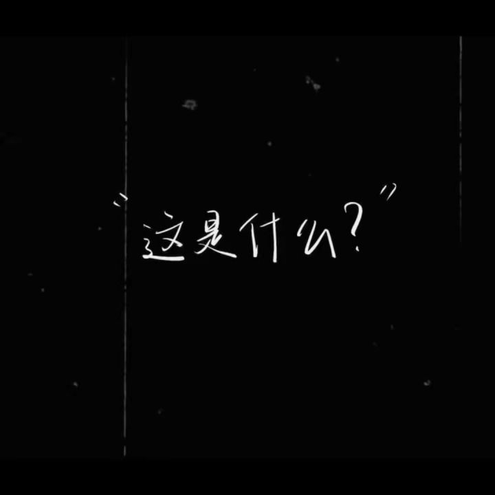 开发者日志5截图