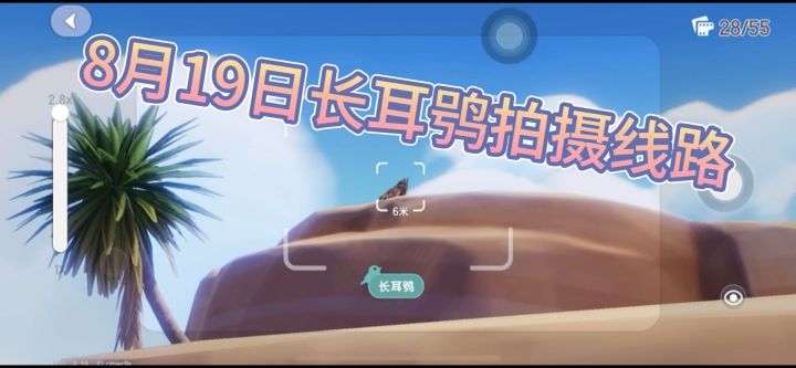 长耳鸮拍鸟路线截图