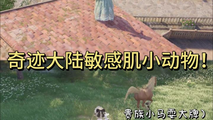 奇迹大陆那些有敏感肌的小动物截图