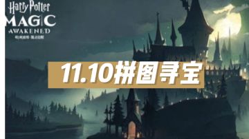 11.10拼图寻宝