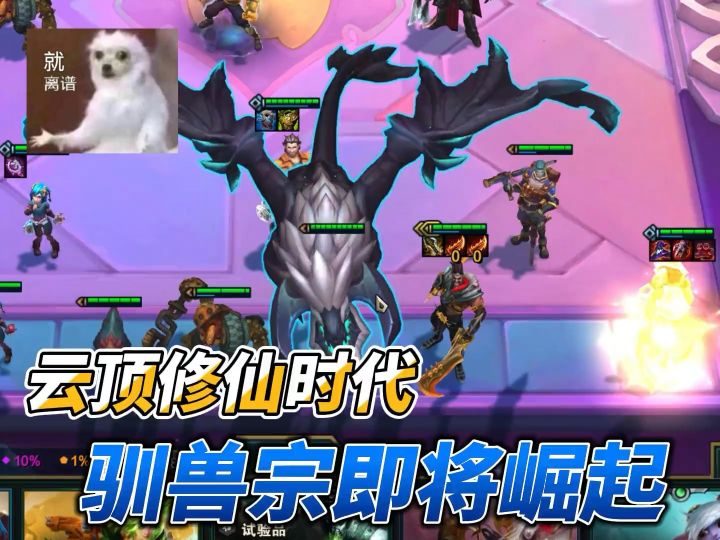 炼尸宗还没过去,驯兽宗又来了截图