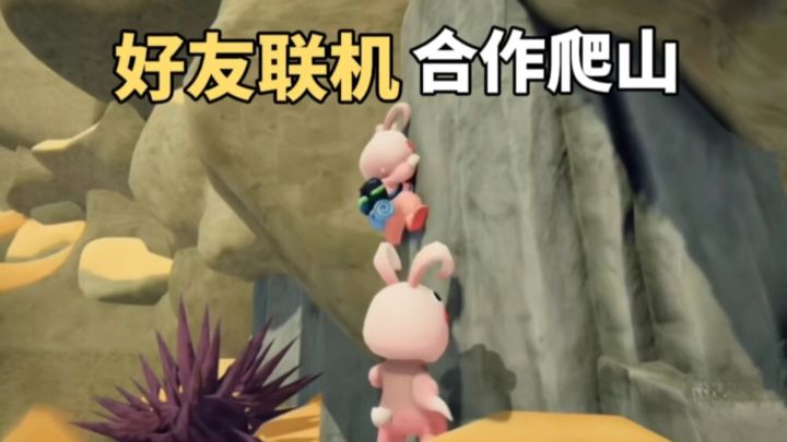 手滑❗️不怕神对手就怕猪队友,一起登顶好友合作联机爬山截图
