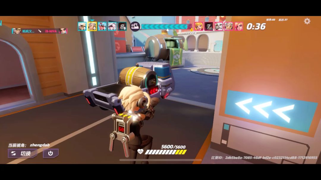 video-4036396