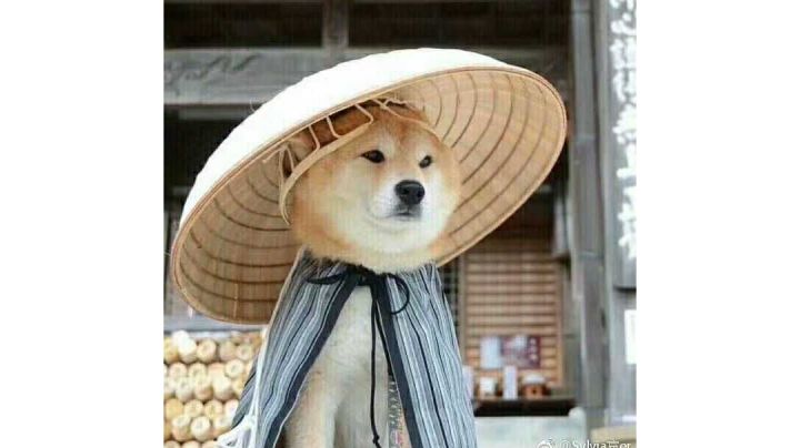 拉结尔试玩截图