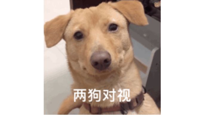 预测 关于新英雄刚出,某些玩家的状态截图