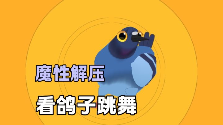 免费无广告❗看抽象的鸽子跳舞❗❓截图