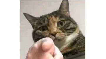 花火魔羽不收箭，新武器的特性