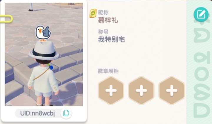 七天建房成果截图
