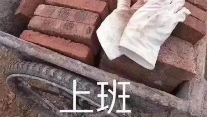 萌新材料职业推荐截图