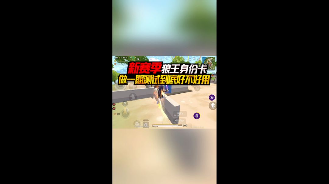 video-3615706