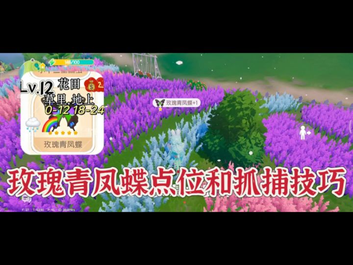 心动小镇捕虫攻略：11级虫子玫瑰青凤蝶抓捕技巧和点位截图