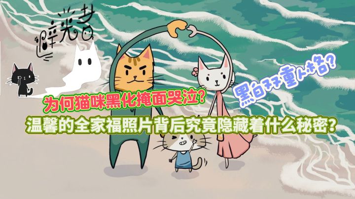 小猫咪为何需要找寻自己的记忆?温馨照片背后究竟隐藏着什么真相截图