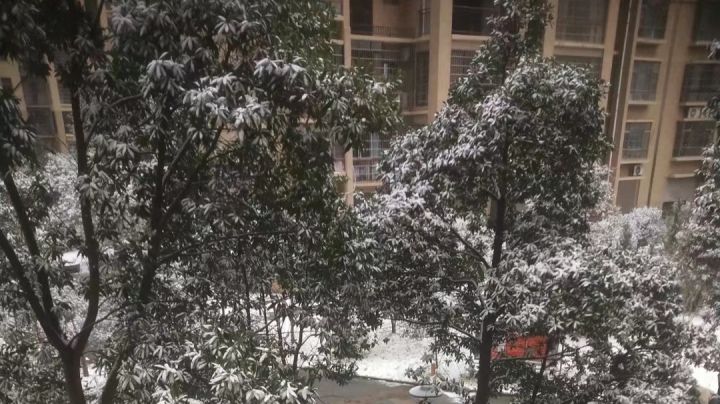 来自咸鱼玩家最后的倔强截图