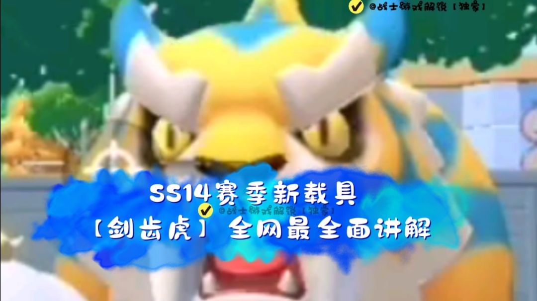 video-4014025