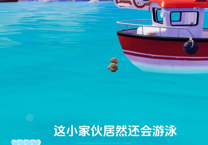 这小家伙居然还会游泳截图