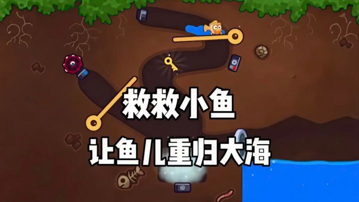 大鱼吃小鱼,小鱼吃什么呢?截图