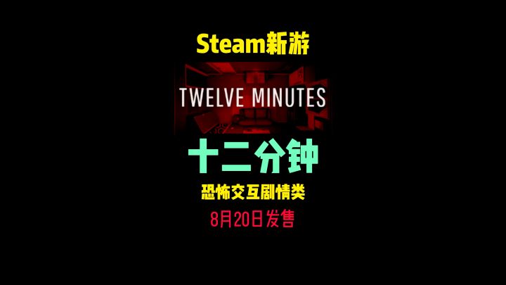 是男人就坚持12分钟！#steam游戏 #单机游戏 #恐怖游戏 #悬疑截图