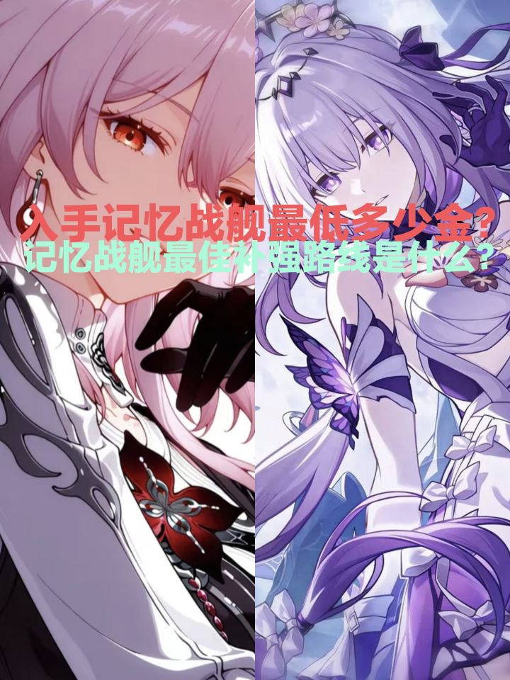 记忆战舰:最佳补强路线与最低需要的金数!截图