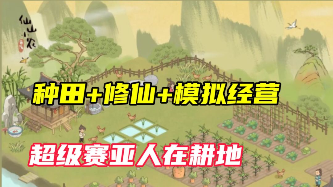 video-4114263