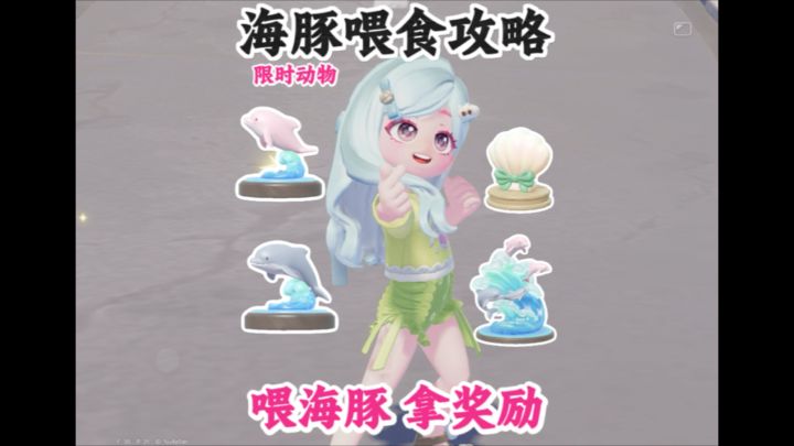 每天喂海豚 拿限定奖励 海豚喂食攻略看这里截图