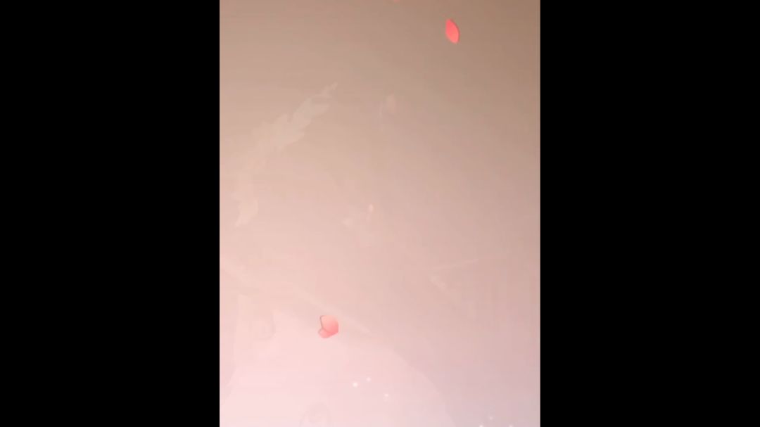 video-3595639