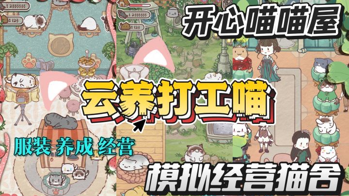 开心喵喵屋,治愈你的不开心,开启云养猫模式!~截图
