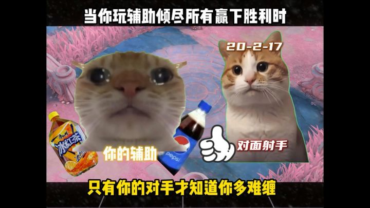 辅助的作用只有对手才知道截图
