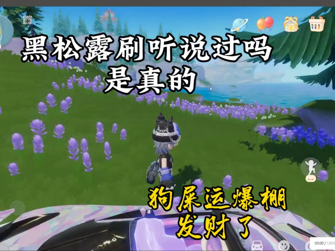 video-5235965