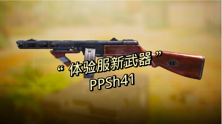 《使命召唤手游》体验服新武器(PPSh41)测试截图