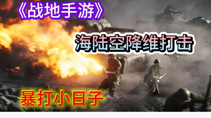 尊严只在剑锋之上真理只在大炮射程之内海陆空降维打击小鬼子截图