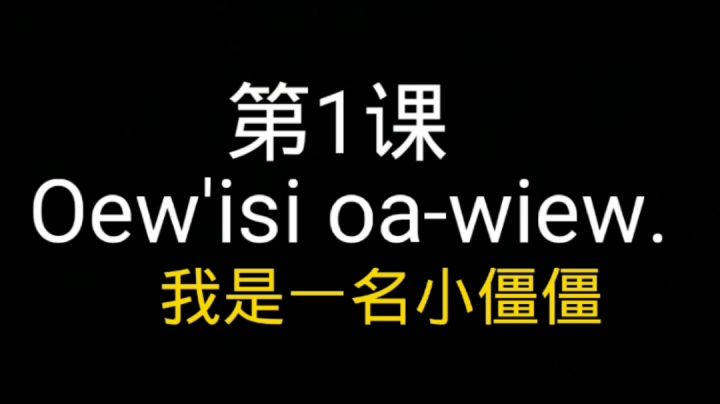 【初级•拓维语】第1课-配套教程截图