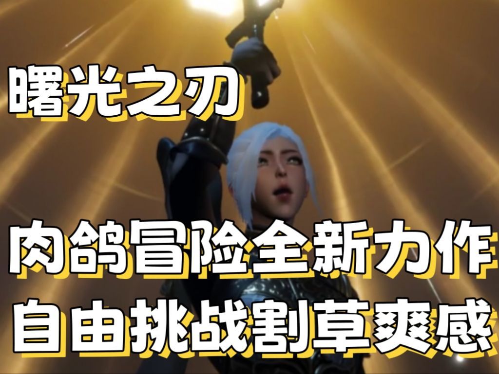 video-4544455