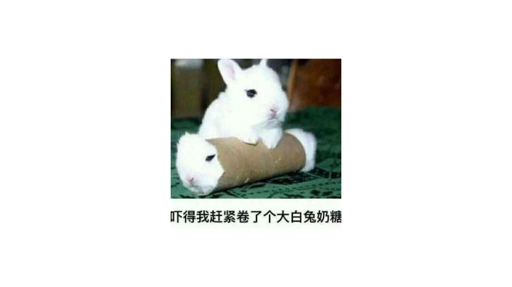 这样的队友就很奈斯截图