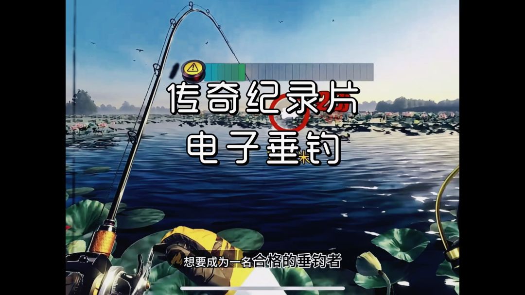 video-4055372
