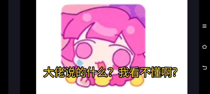 看不懂大佬说的什么?一个视频教会你(1)截图