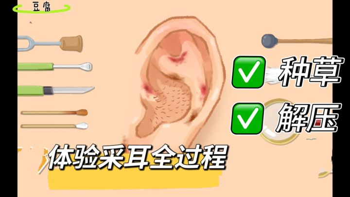 沉浸式体验采耳全过程!强迫症福音!截图