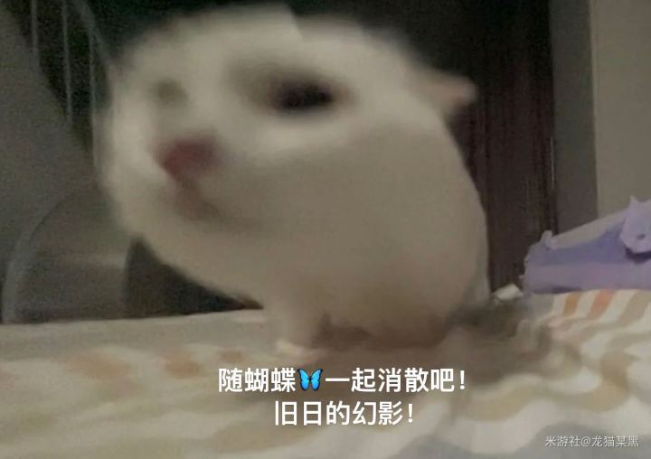 《希儿·没有头》截图