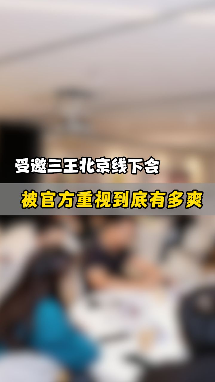 三国志王道天下截图
