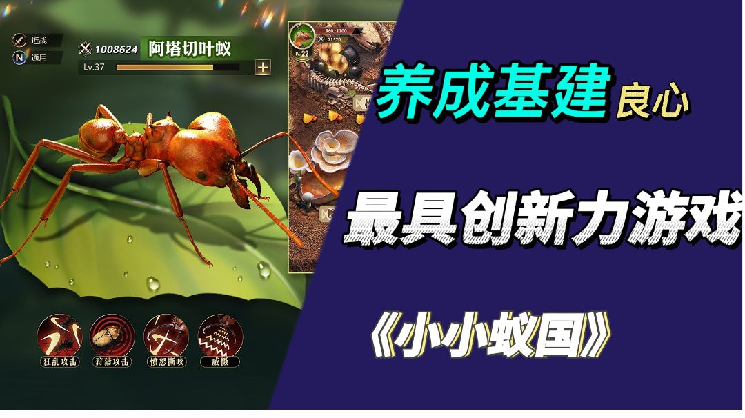 video-3002839