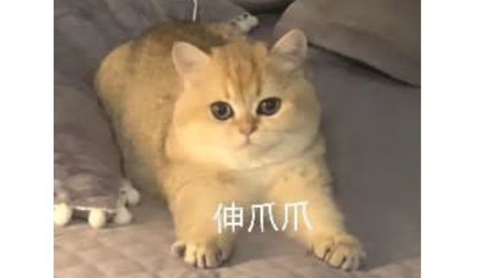 醉梦神拳技能效果演示截图