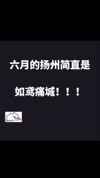 啊啊啊是城市联动！真成痛城了！