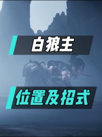 白狼主的位置及招式