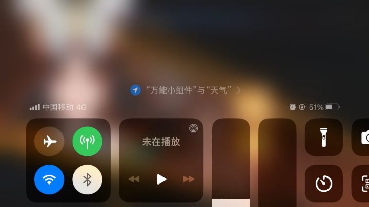 谁能告诉我这个土明王是怎么回事？这是啥bug?截图