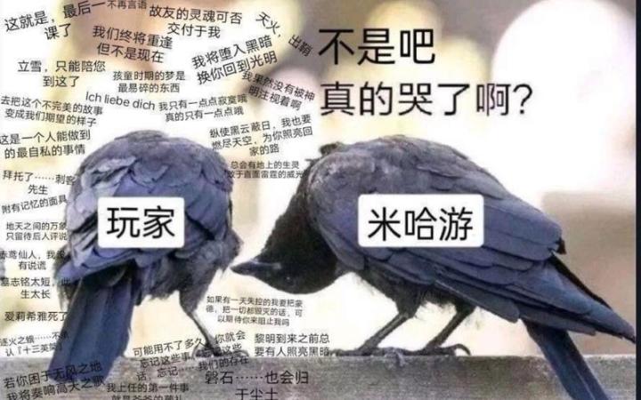 点击即看--流萤必抽的原因截图