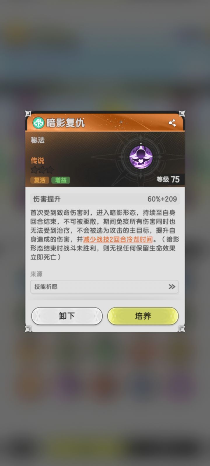 秘术师核心技能暗影复仇存在BUG反馈截图