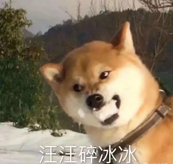 ap bp体力不够的往这里看截图