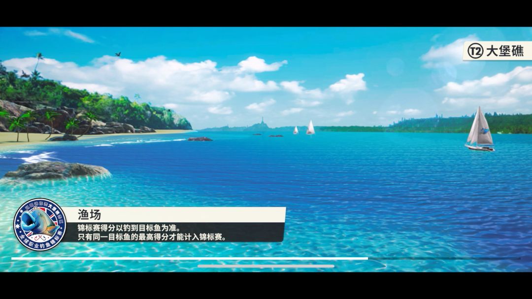 video-4051068
