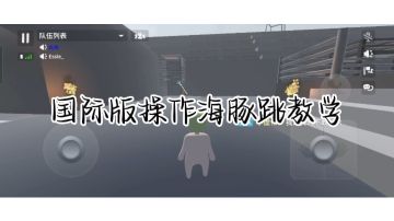 国际版操作海豚跳教学