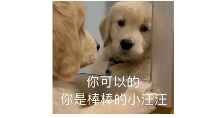玄学对应法爬塔截图