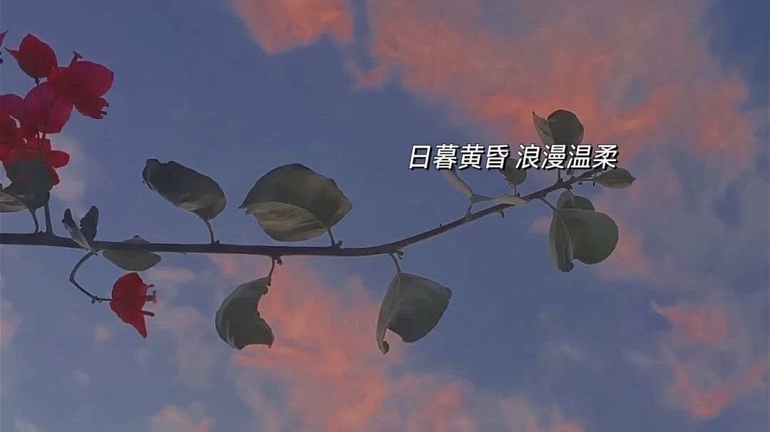 video-2589288